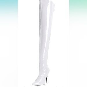 Pleaser Women's Domina-3000 Boot